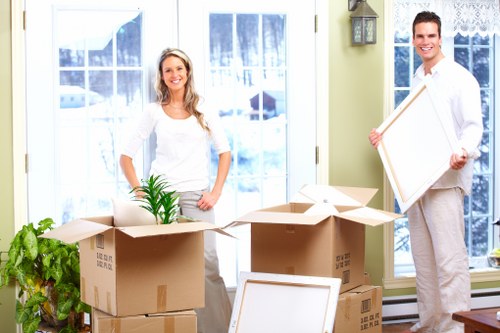 Careful moving assistance with furniture and packed boxes